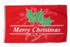 Seasons Greetings Holly