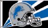Detroit Lions nfl football team flag