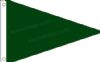 Dartmouth Green pennant