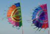 Olympic Banner