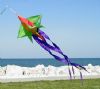 Spinning Star Windsock
