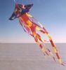 Jelly Fish Spinning Windsock