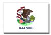 Illinois Flag