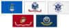 Armed Forces Flag Set with Pole Hem & Gold Fringe