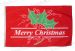 Seasons Greetings Holly