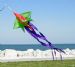 Spinning Star Windsock