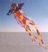 Jelly Fish Spinning Windsock