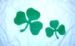 Shamrocks Flag