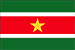 Suriname Flag