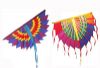 Soundwinds Lawnsails
