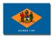 Delaware Flag