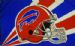 Buffalo Bills nfl football team flag