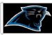 Carolina Panthers nfl football team flag