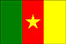 Cameroon Flag