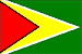 Guyana Flag